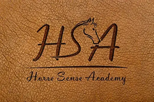 Horse Sense Academy - Celina Peters - Lünen - NRW